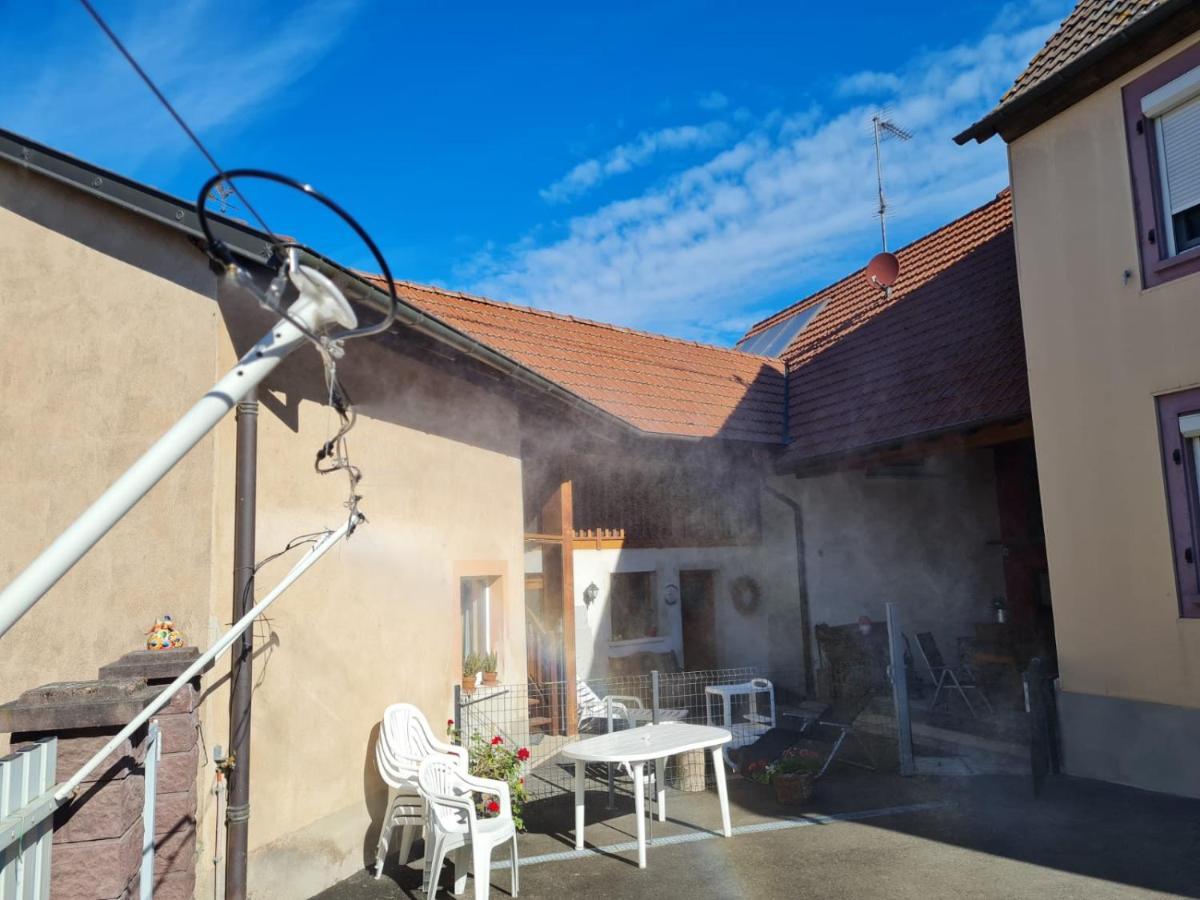 Appartamento Les Chouchous Du Ried 1 Saasenheim Esterno foto